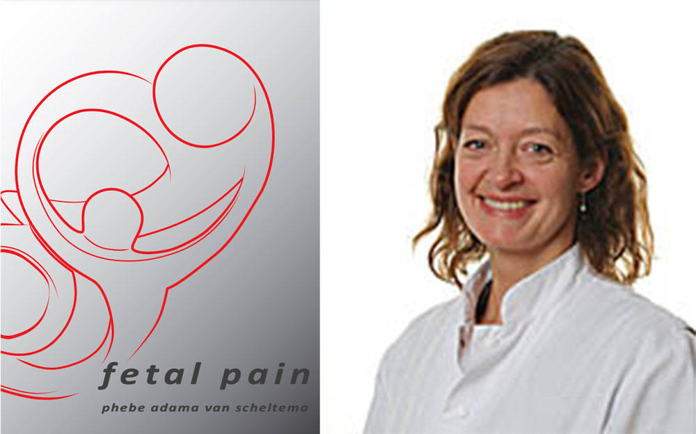 proefschrift fetal pain phebe adama van scheltema foetale therapie