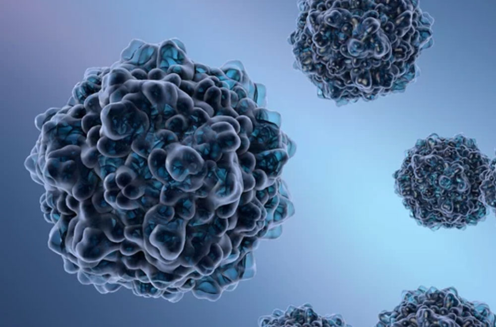 foetale parvo parvovirus foetale therapie